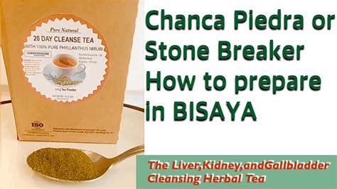 chanca piedra in bisaya